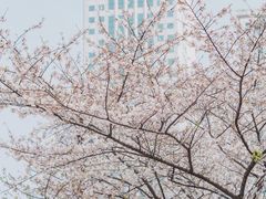 -西北湖绿化广场