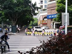 -德慧泉全脑潜能开发教育发展中心