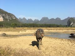 -Club Med地中海俱乐部·桂林度假村