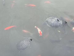 -宁波市保国寺古建筑博物馆