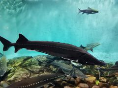 -太平洋海底世界