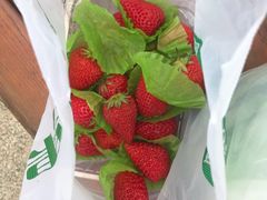 -切果匠(运河上街店)