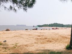 -瑶湖郊野森林公园