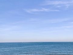 -日照海滨国家森林公园