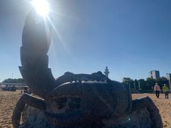 -日照灯塔风景区