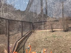 -沈阳森林动物园