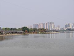 -飞来湖湿地公园