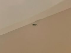 -SFEEL设计师酒店(成都太古里店)