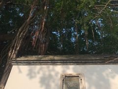 -乌山风景区