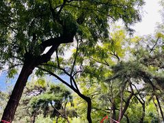 -元大都城垣遗址公园