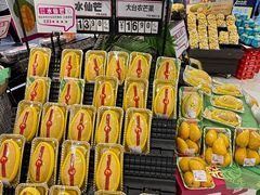 -鑫嘉汇购物中心
