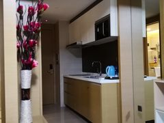 -维多利亚公寓(富力东山新天地店)