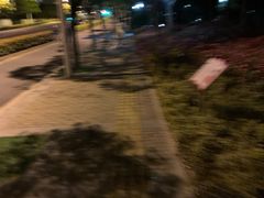 -南翔镇银翔湖公园