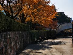 -苏州河梦清园环保主题公园