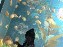 -福州罗源湾海洋世界旅游区