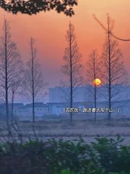 -前小桔亲子创意农场·草莓采摘·露营烧烤