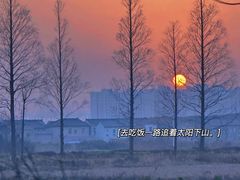 -前小桔亲子创意农场·草莓采摘·露营烧烤