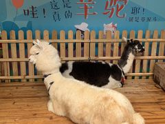 -佟小曼手工茶饼坊(鼓浪屿1店)