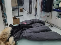 -福奈特洗衣·洗鞋·奢侈品护理(金桥国际广场店)