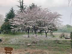 -堤角公园