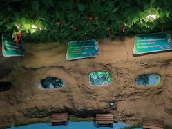 点击看大图 -酷嗒动物文化乐园(cutezoo西溪乐天城店)