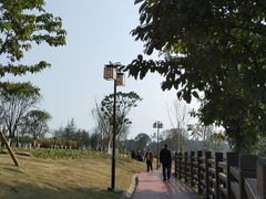 -铁山坪森林公园