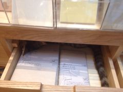 -猫的天空之城概念书店(杭州南宋御街店)