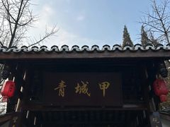 -青城甲(青城山店)