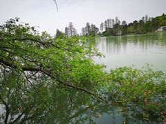 -东湖落雁景区
