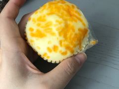 -优护佳月嫂育儿嫂中心(静安店)