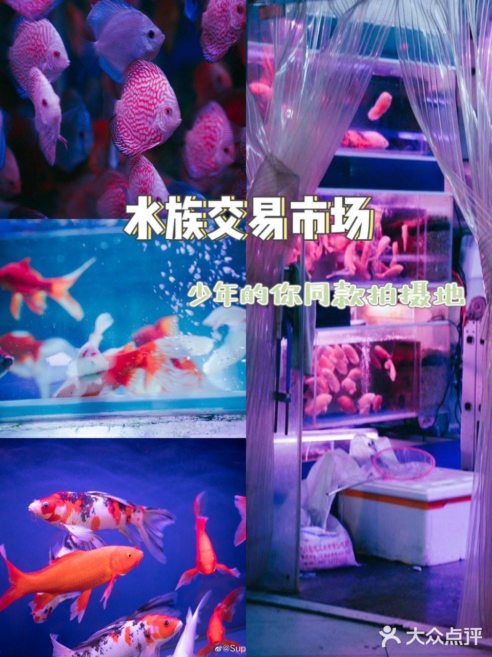 推荐💖💕重庆旅游值得一去的这些小众景点