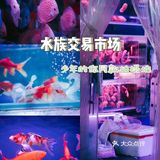 推荐💖💕重庆旅游值得一去的这些小众景点