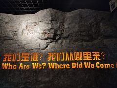 -国家自然博物馆