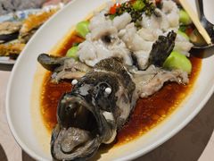 -维园悦谱·海派家常菜(乌鲁木齐南路店)