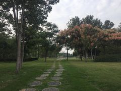 -西安浐灞国家湿地公园