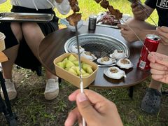 -春花秋色城市公园