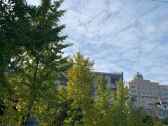 -宝岛眼镜(慈溪大润发店)