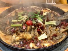 -老板恋上鱼(印象城店)