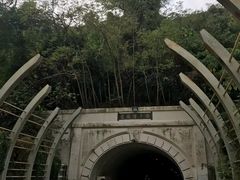 -高雄85大楼-观景台