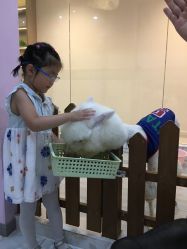-Moni星球萌宠·小马宝莉·灵蛇·高端高阶全萌宠互动体验俱乐部(红豆国际广场店)