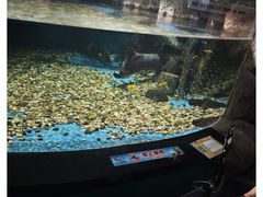 -聊城海底世界