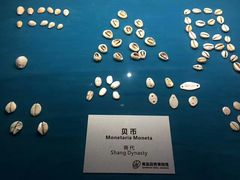 -青岛贝壳博物馆