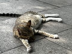-西园戒幢律寺