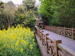 -桤木河湿地公园