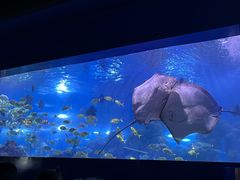 -重庆欢乐海底世界