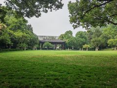 -东航云逸酒店(九溪烟树店)
