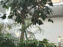 -大树餐厅(红旗街万达店)