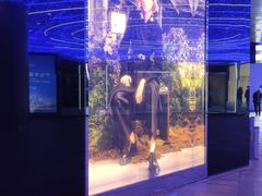 -PRADA普拉达(国际广场店)