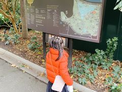 -墨尔本皇家植物园