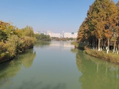 -青枫公园